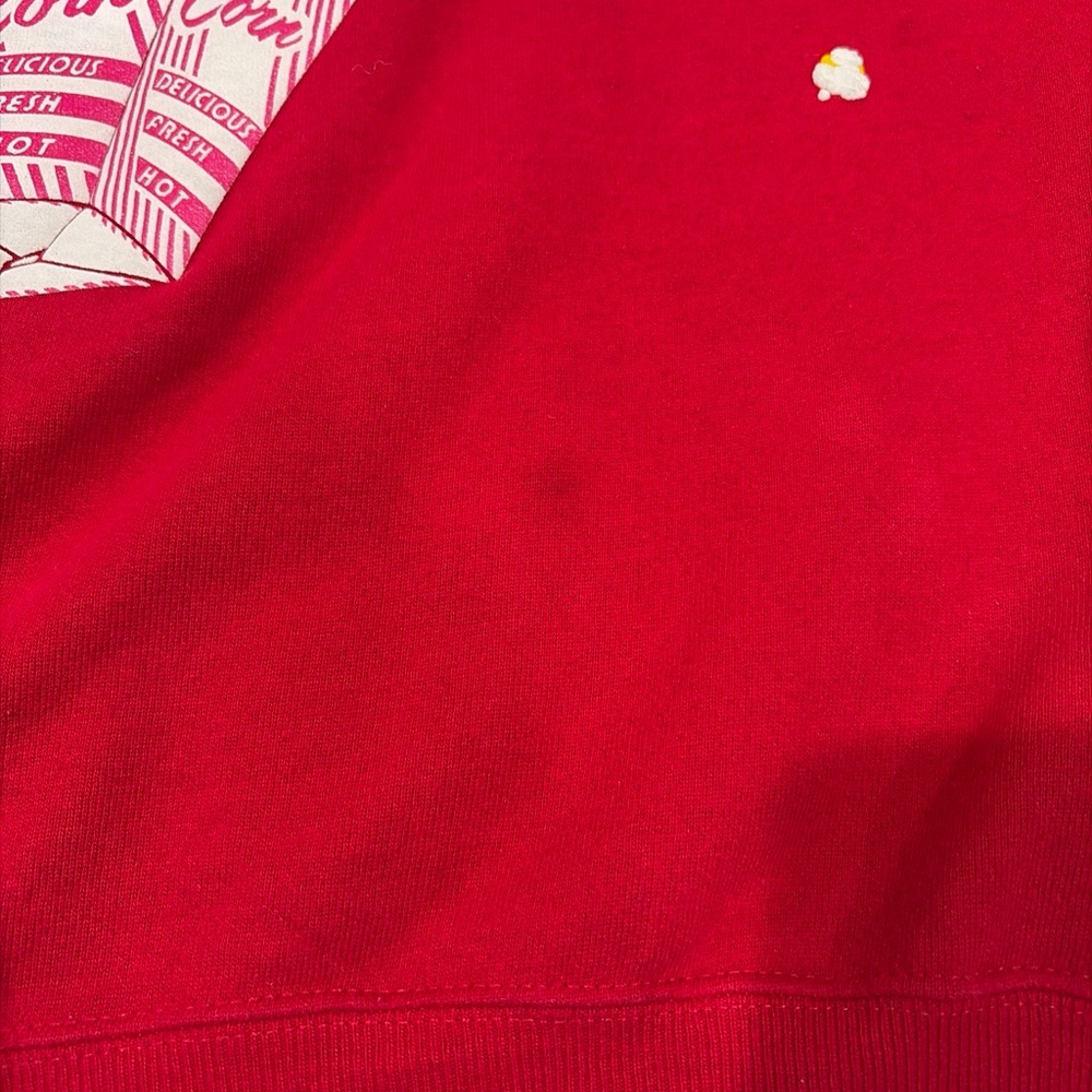 Vintage Sweatshirt 90s Morning Sun Popcorn 3D Puff Sweatshirt Hanes Red Large L - Picture 16 of 16